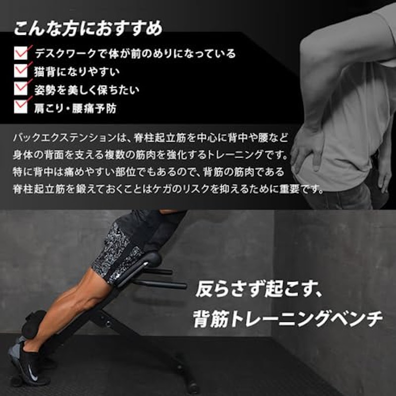 バックエクステンションベンチ 2