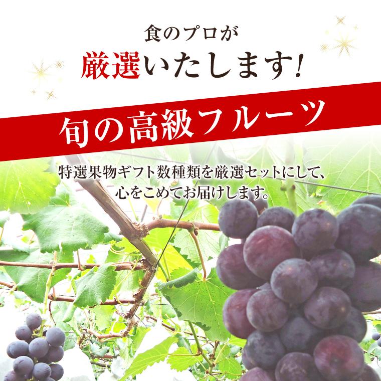 食の宝石箱 F  4