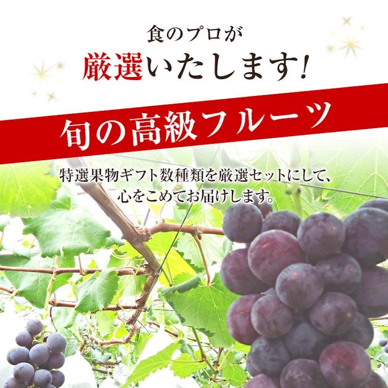 食の宝石箱 F 4