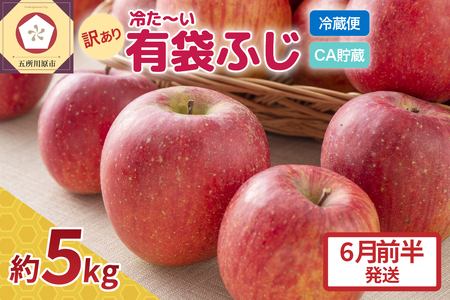 有袋ふじ 訳あり CA貯蔵 1