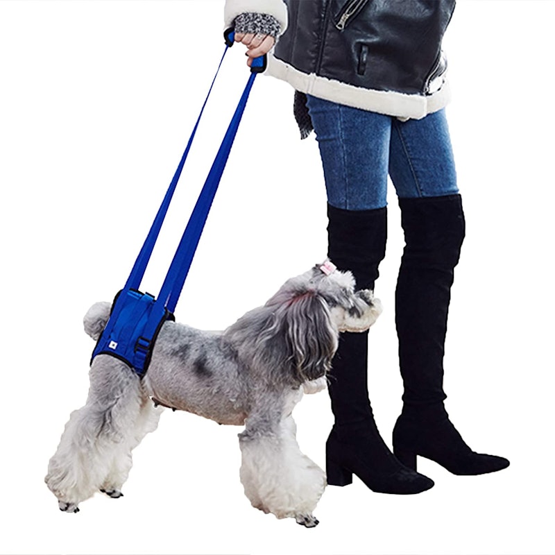 22年 犬用介護ハーネスのおすすめ人気ランキング選 Mybest 22年 犬用介護ハーネスのおすすめ人気ランキング選 Mybest
