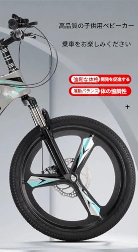 ファットバイク 3
