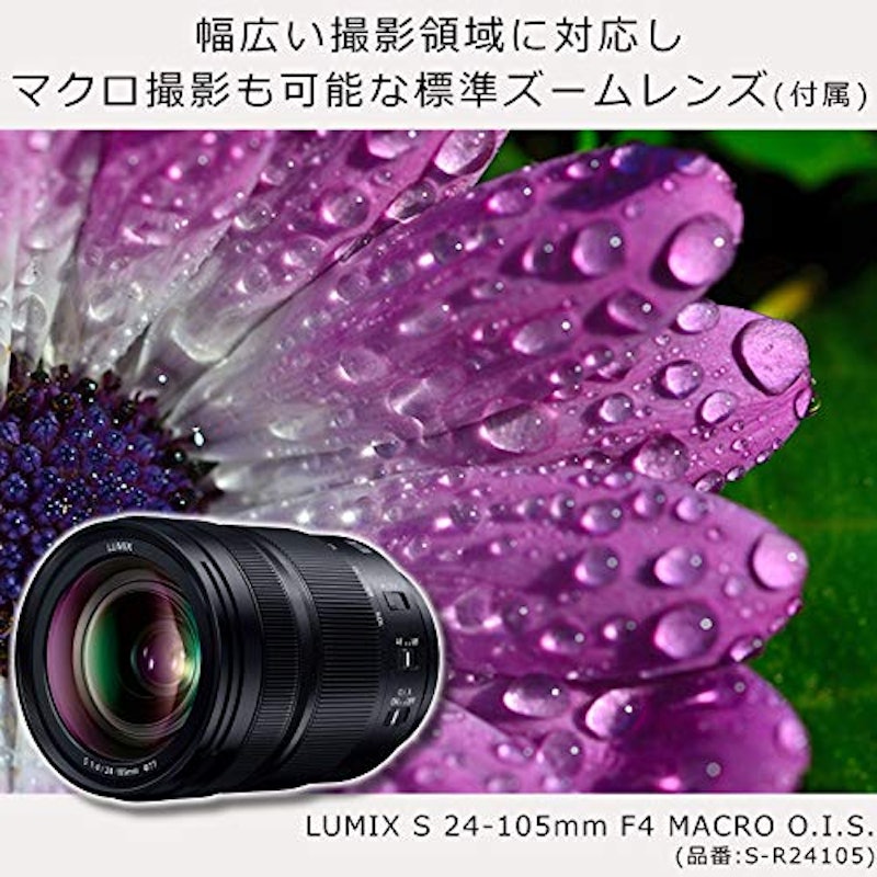 LUMIX DC-S1M 7