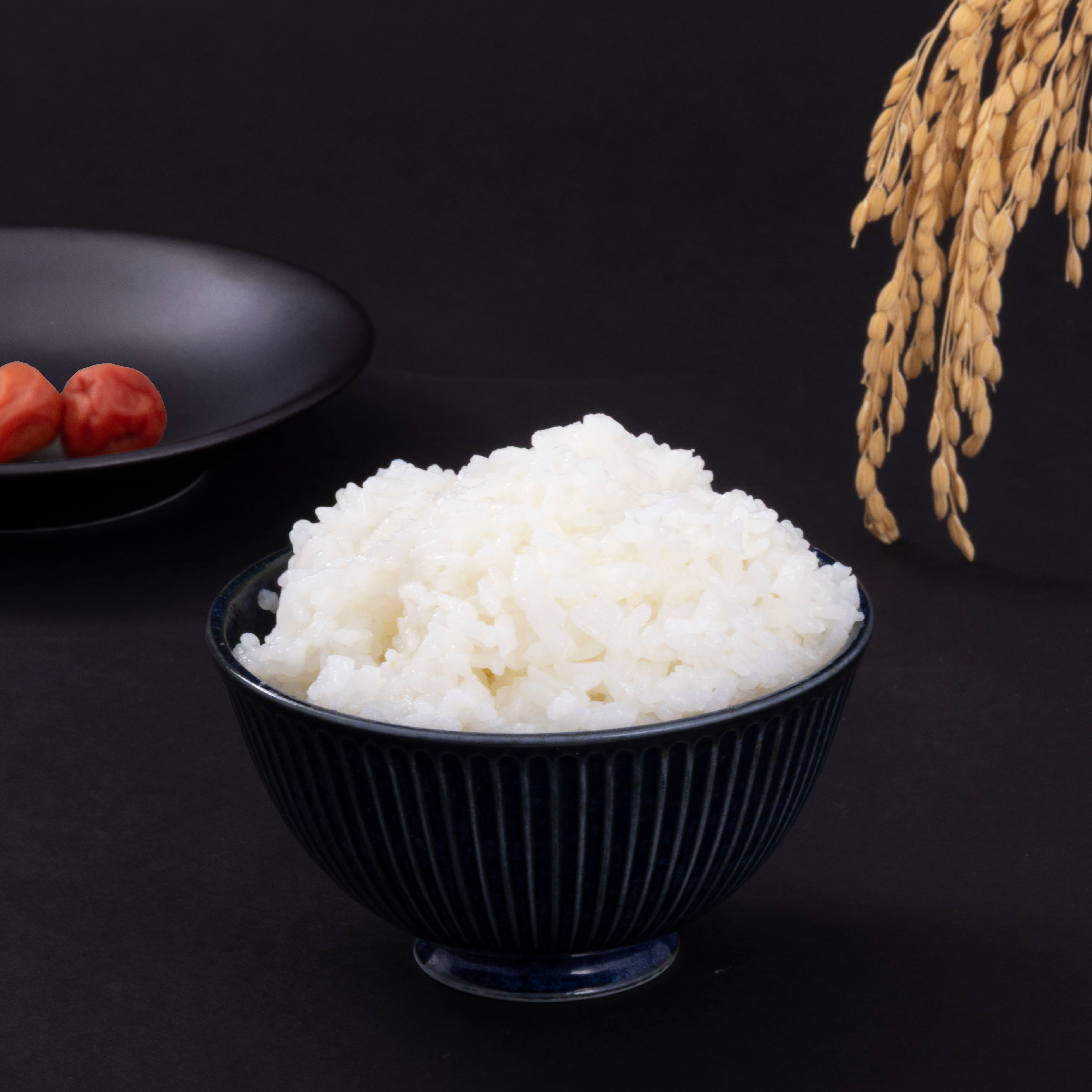 会津産 無洗米 コシヒカリ 3