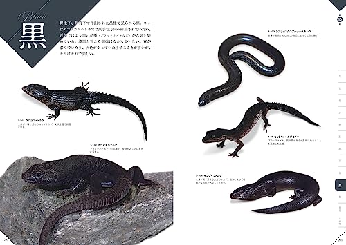 色彩別 爬虫類・両生類図鑑 8