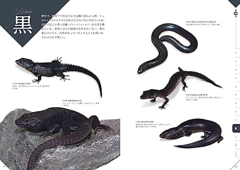 色彩別 爬虫類・両生類図鑑 8