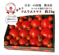 684円 納得できる割引 トマト とまと 桃太郎トマト 4ｋｇ １箱 甘い 奈良産