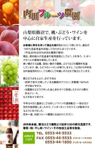 山梨県産 白鳳 白桃 5
