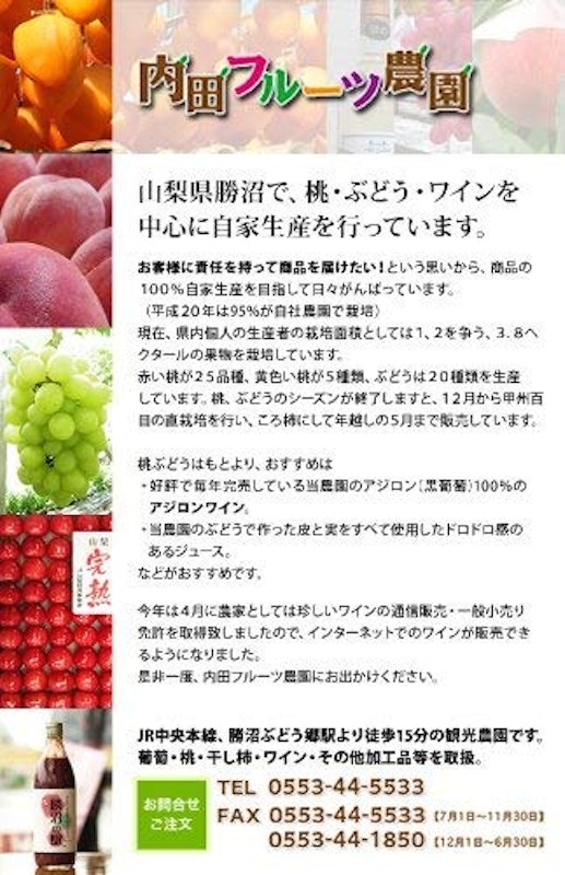山梨県産 白鳳 白桃 5