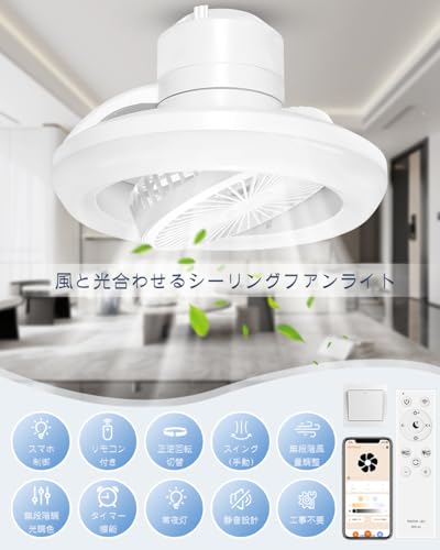 シーリングファンライト 2