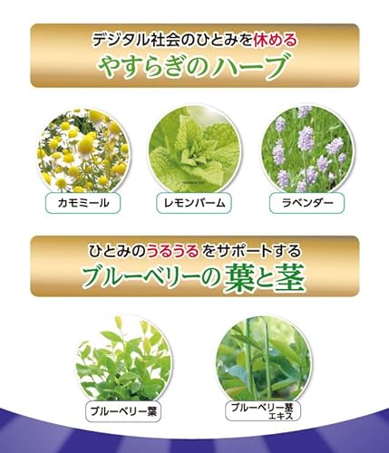 ブルーベリーアイ 4