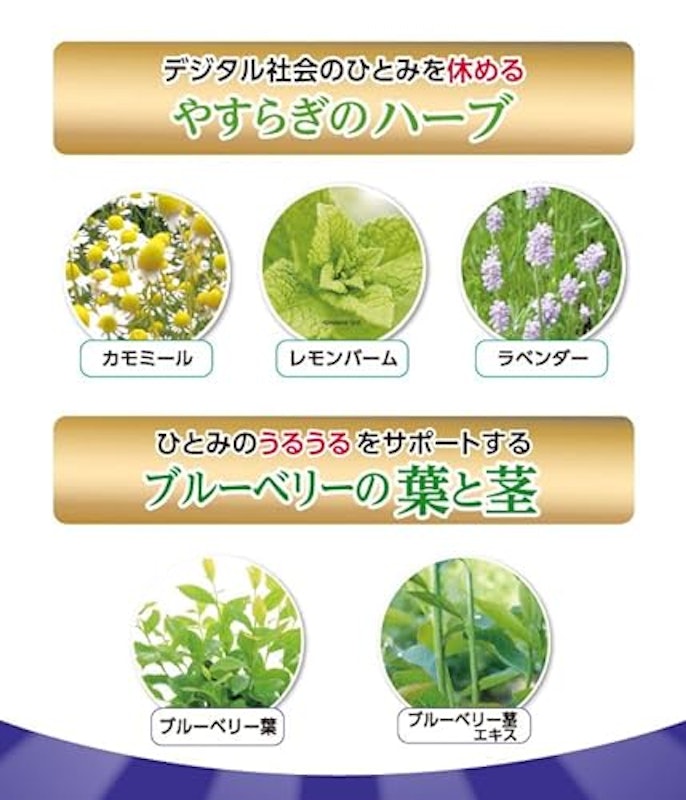 ブルーベリーアイ 4