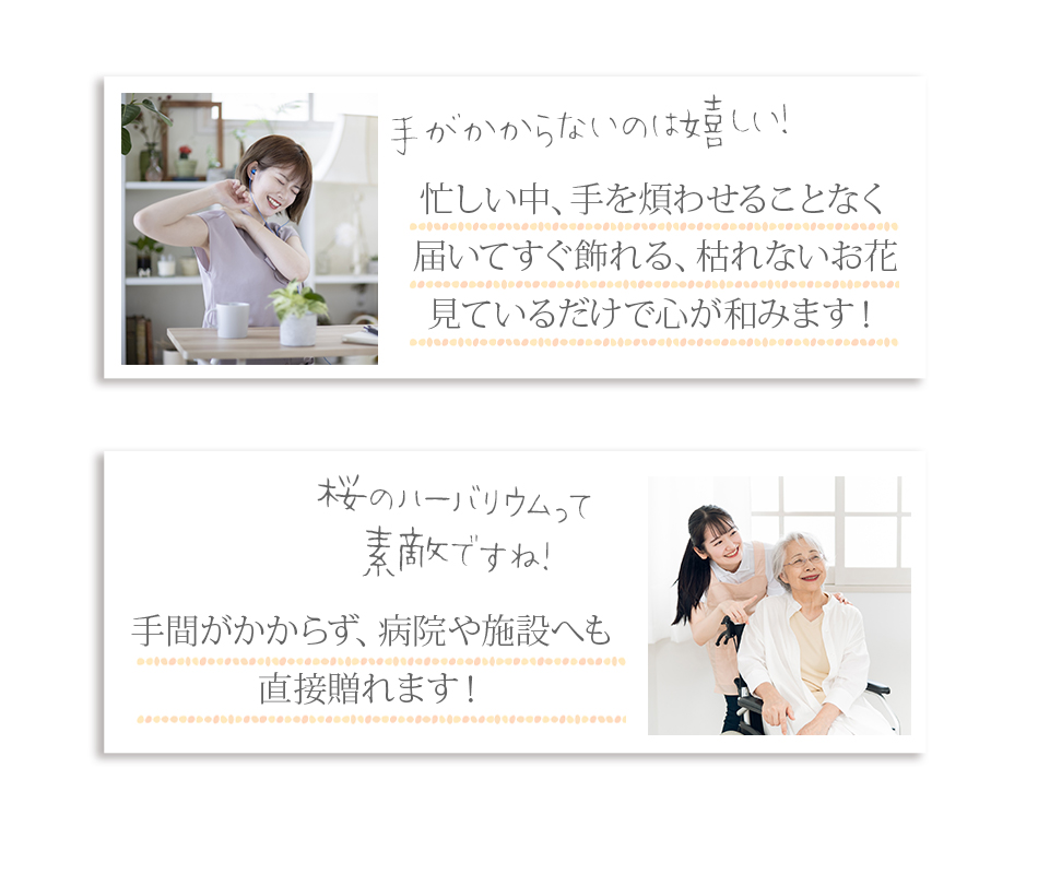 ハーバリウム 5