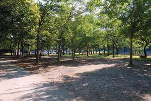 長瀞オートキャンプ場 3