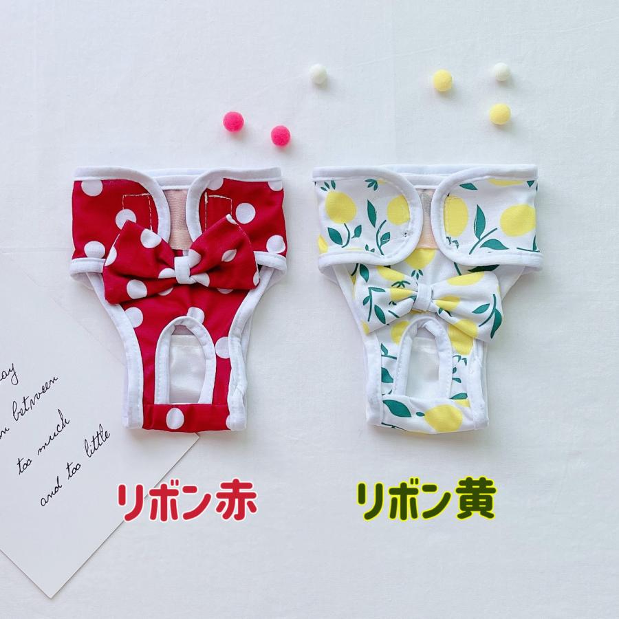 マナーパンツ 4