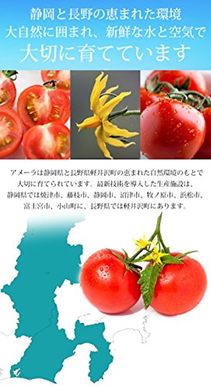 フルーツトマト アメーラ 5