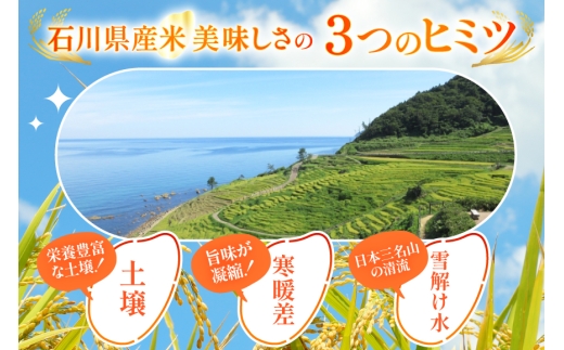令和7年産 能登米こしひかり 2kg 3