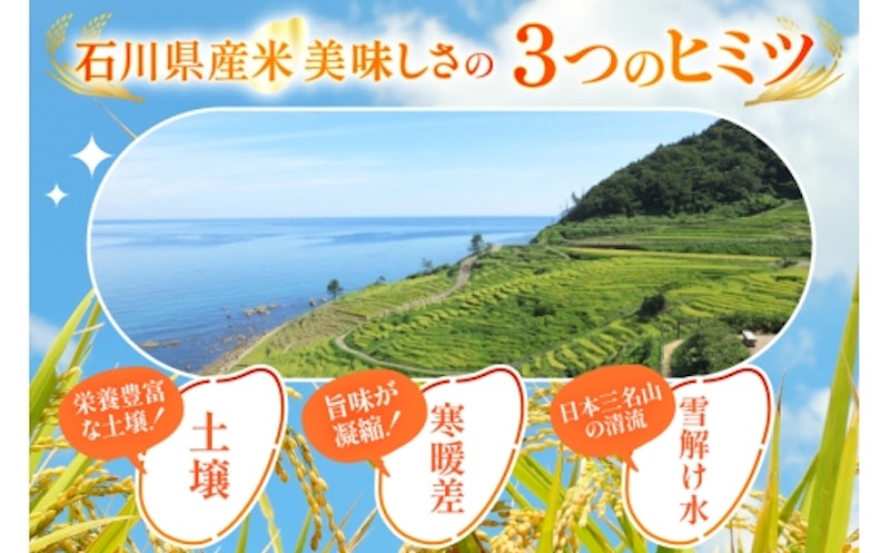 令和7年産 能登米こしひかり 2kg 3