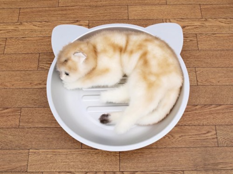 たらい de クールキャット 2
