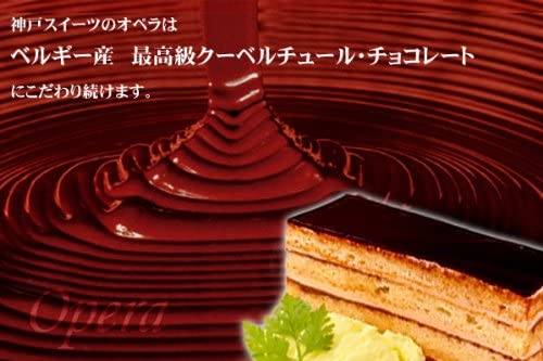 オペラ チョコレートケーキ 7