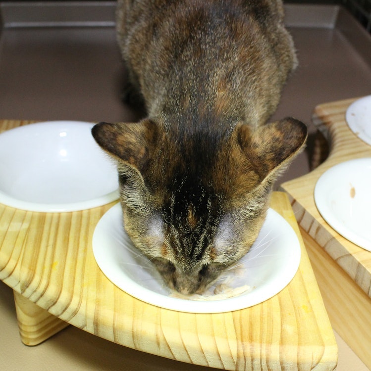 フリーズドライのササミ猫用 8