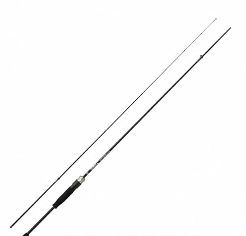 20-21 BRS 1