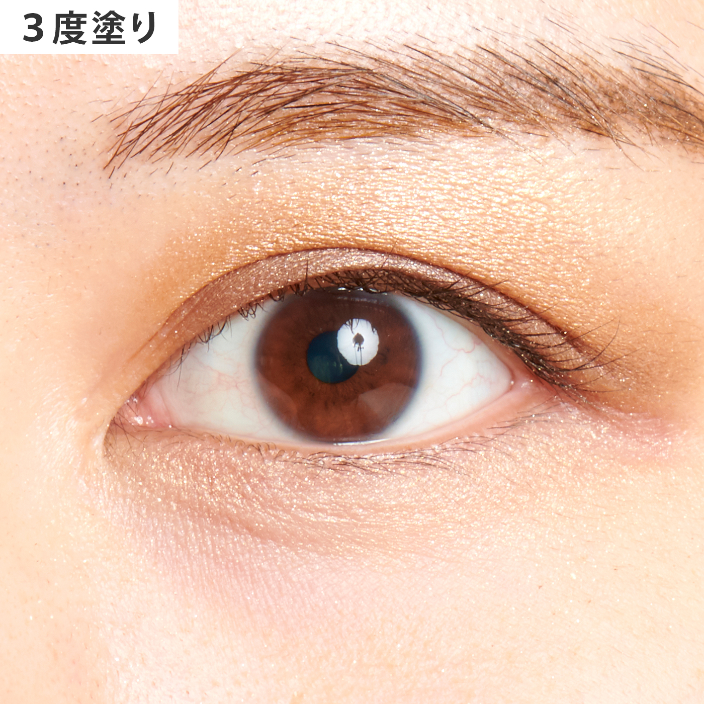 12ccc713d5b3d835a31cd51fcd7774