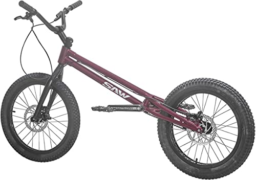 BMX 自転車 20インチ 1