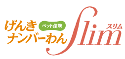 げんきナンバーわんスリム 1