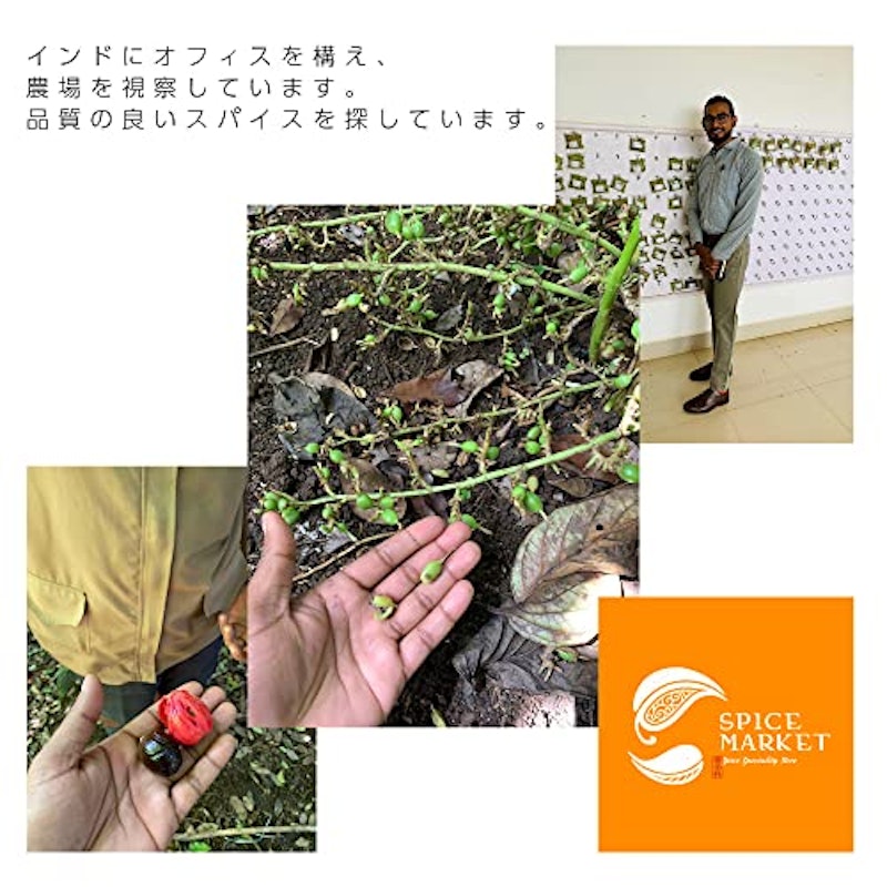 チリパウダー 4