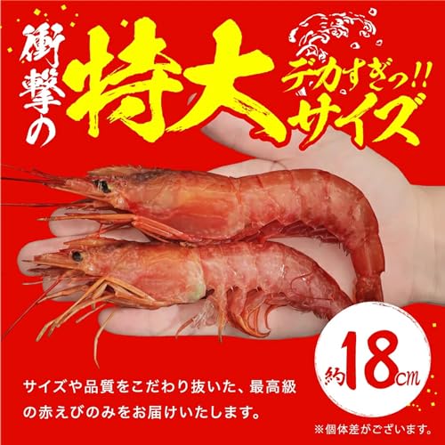 メガ盛！特大天然赤えび 4