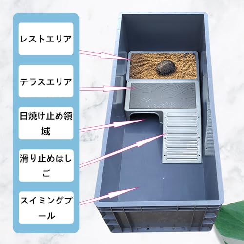 亀飼育用水槽 3