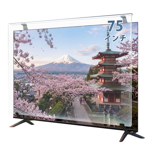テレビ保護パネル 1