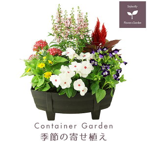 21年 プレゼント鉢植えのおすすめ人気ランキング28選 Mybest