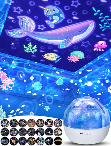 プラネタリウム家庭用  1