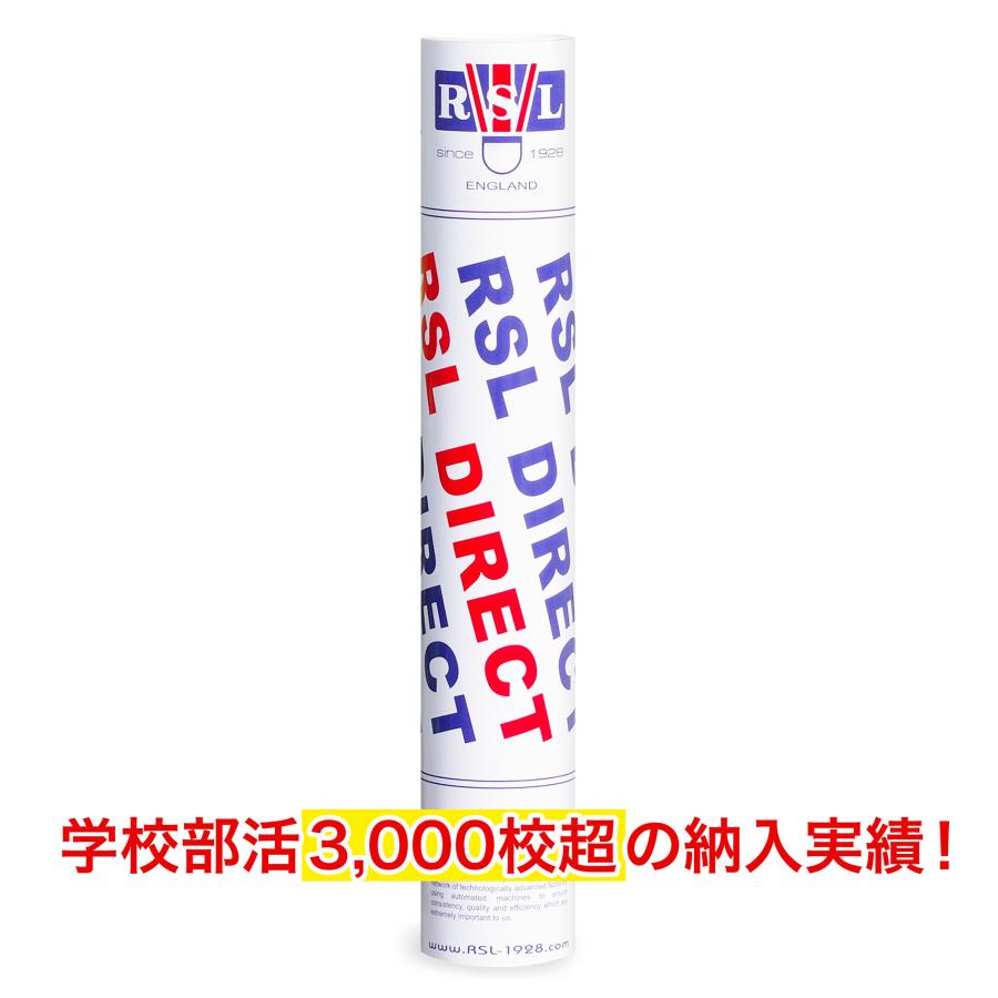 バドミントンシャトル 1