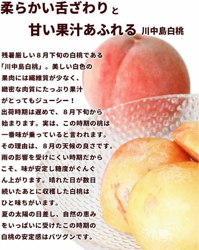 川中島白桃 秀品 3
