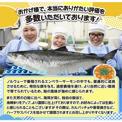 エンペラーサーモン 2