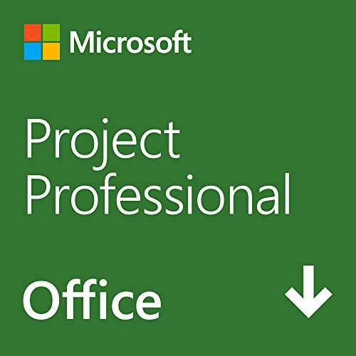 Microsoft Project Professional 2024 1