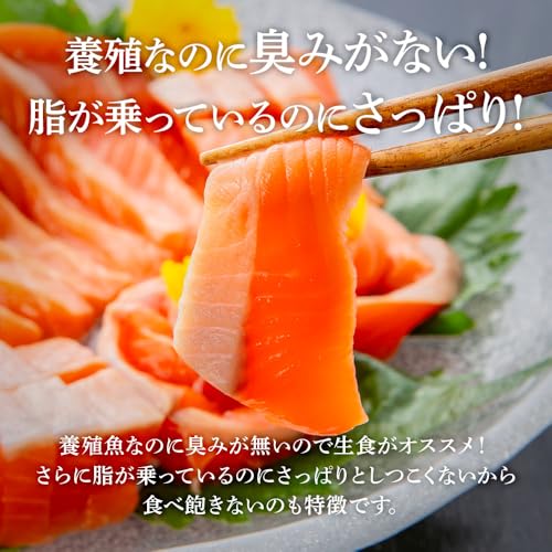 銀鮭 2