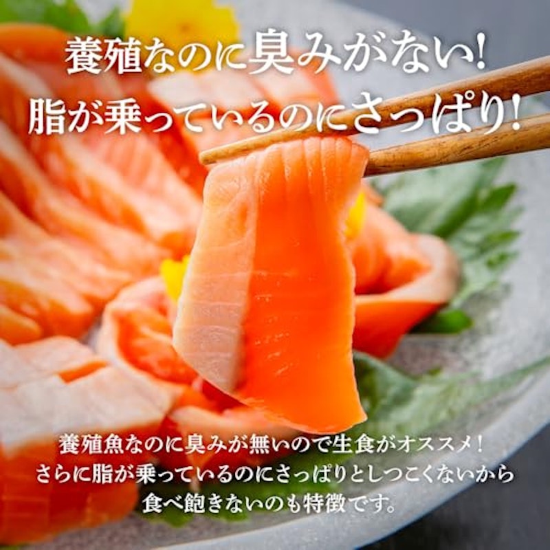 銀鮭 2