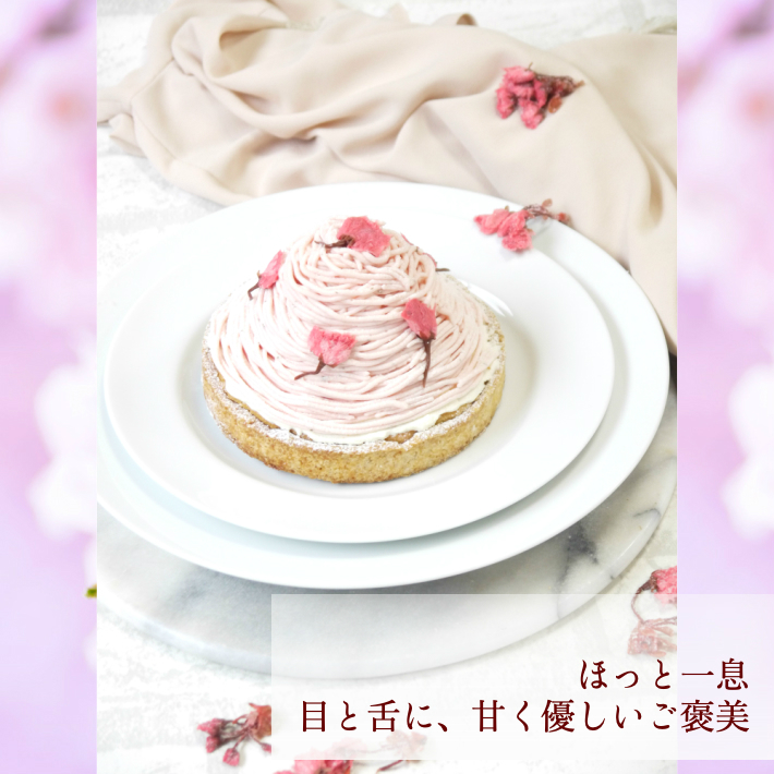 桜チーズタルト 2