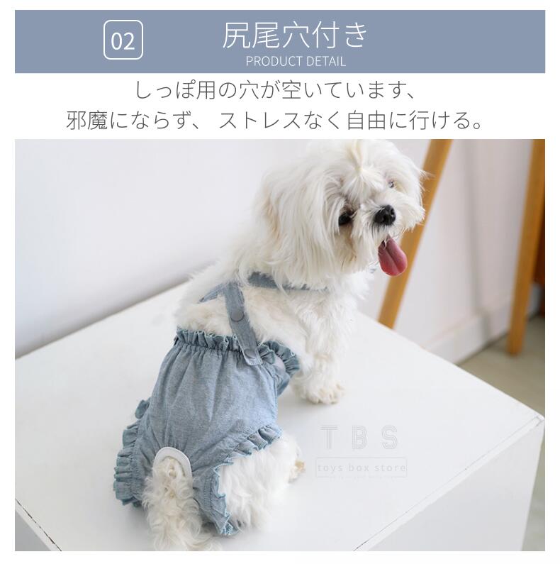 サニタリーパンツ 5