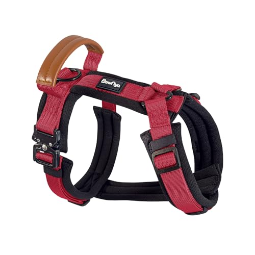 KOKOCHI Harness 1