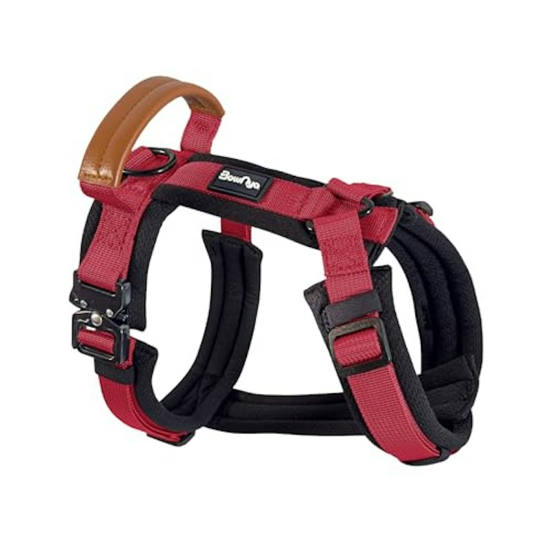 KOKOCHI Harness 1