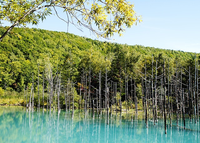 22年 カップルにおすすめの夏休み国内旅行先のおすすめ人気ランキング30選 Mybest 22年 カップルにおすすめの夏休み国内旅行先のおすすめ人気ランキング30選 Mybest