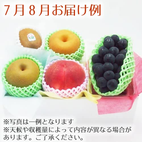 季節のフルーツボックス Dコース 5