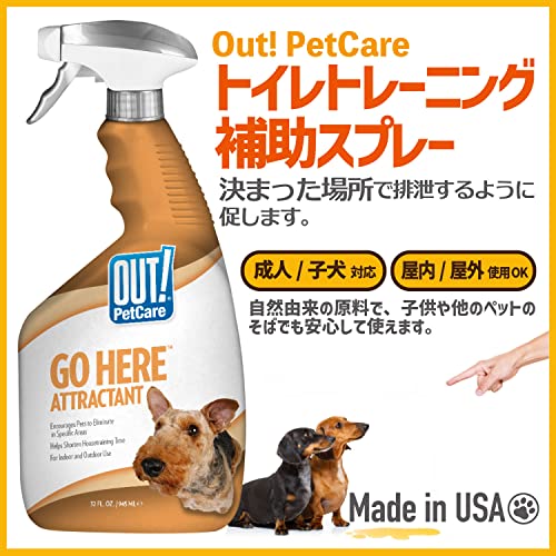 GO HERE ATRACTANT トイレトレーニング補助スプレー 2