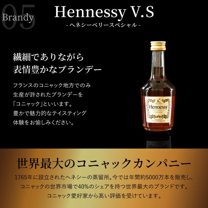 ウイスキー＆ブランデーミニチュアボトルセット 10