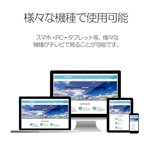 ミラスクリーンレスーバー 4